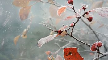 大学生心理建设